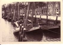 HavenArnemuiden GIFS.jpg