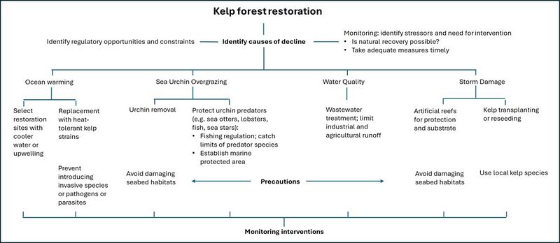 File:KelpRestoration.jpg