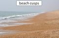 Beach cusps.jpg