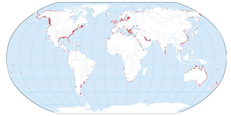 File:GlobalDistributionSaltMarshes.jpg