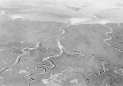 Tidal flat coast, the Danish Wadden Sea.