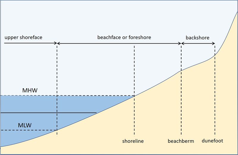 File:BeachZonation.jpg