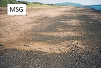 Mixed sand and gravel.jpg
