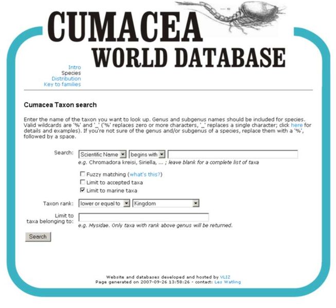 File:Cumacea.jpg
