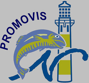 Promovis.JPG