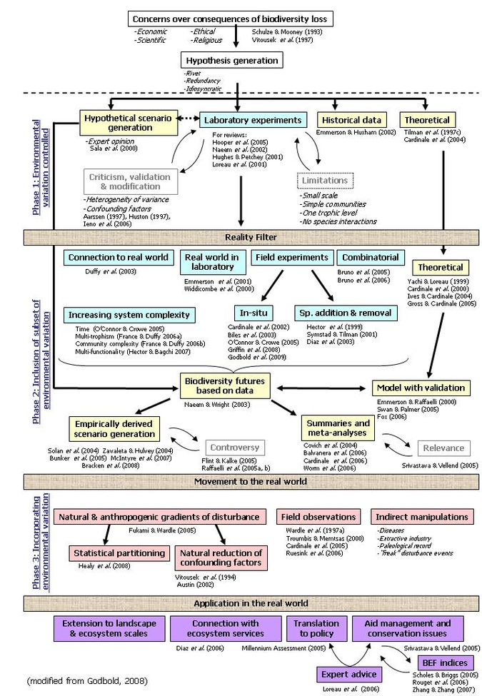 A review of biodiversity-ecosystem function research - Coastal Wiki