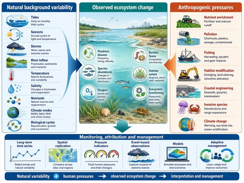 Natural variability and change in coastal ecosystems - Coastal Wiki