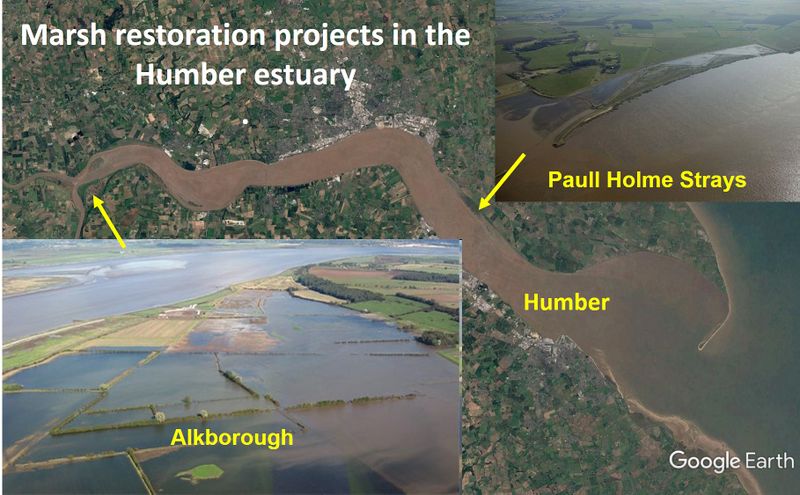File:MarshRestorationHumber.jpg