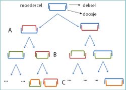 Krimpen diatomeen.jpg