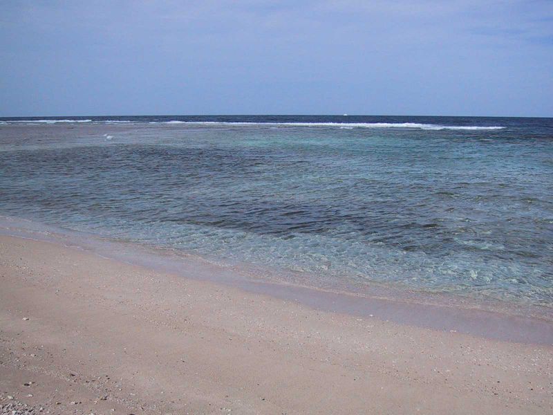 File:RedSeaBeach.jpg
