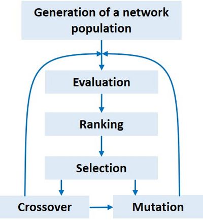 Artificial Neural Networks and coastal applications - Coastal Wiki